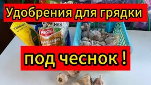 Какие удобрения необходимо внести перед посадкой озимого чеснока!