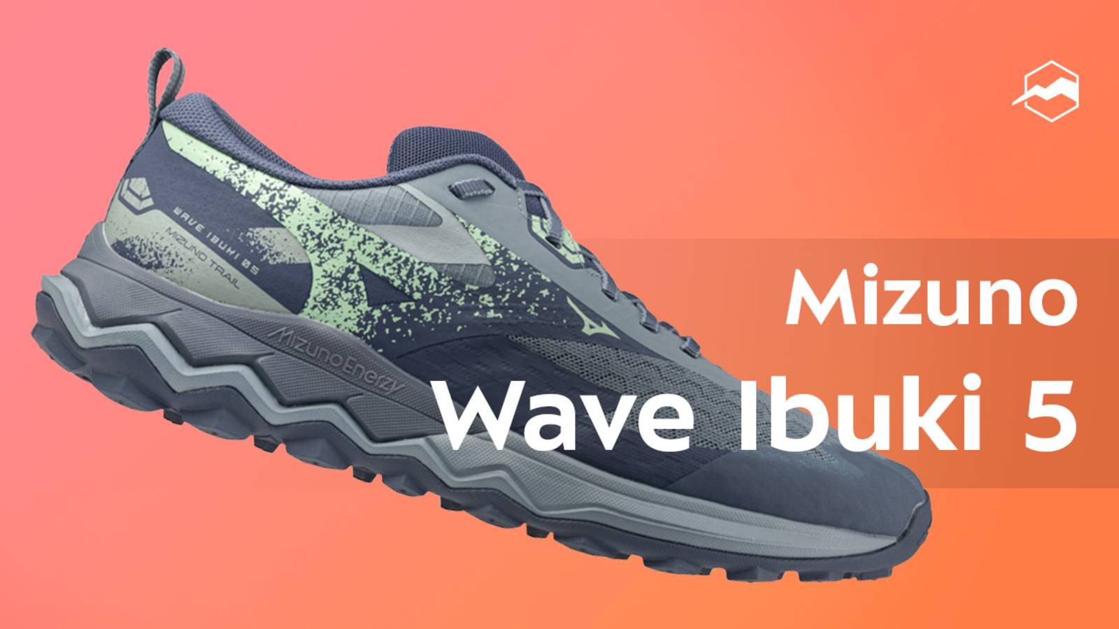 Кроссовки мужские Mizuno Wave Ibuki 5