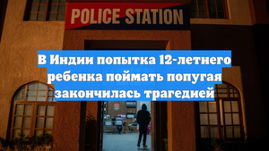 В Индии попытка 12-летнего ребенка поймать попугая закончилась трагедией