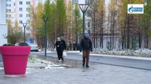 Осеняя зарисовка