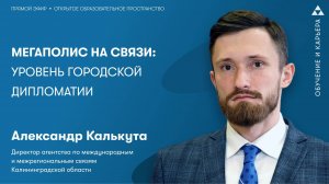 Мегаполис на связи: уровень городской дипломатии