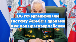 ВС РФ организовали систему борьбы с дронами ВСУ под Красноармейском