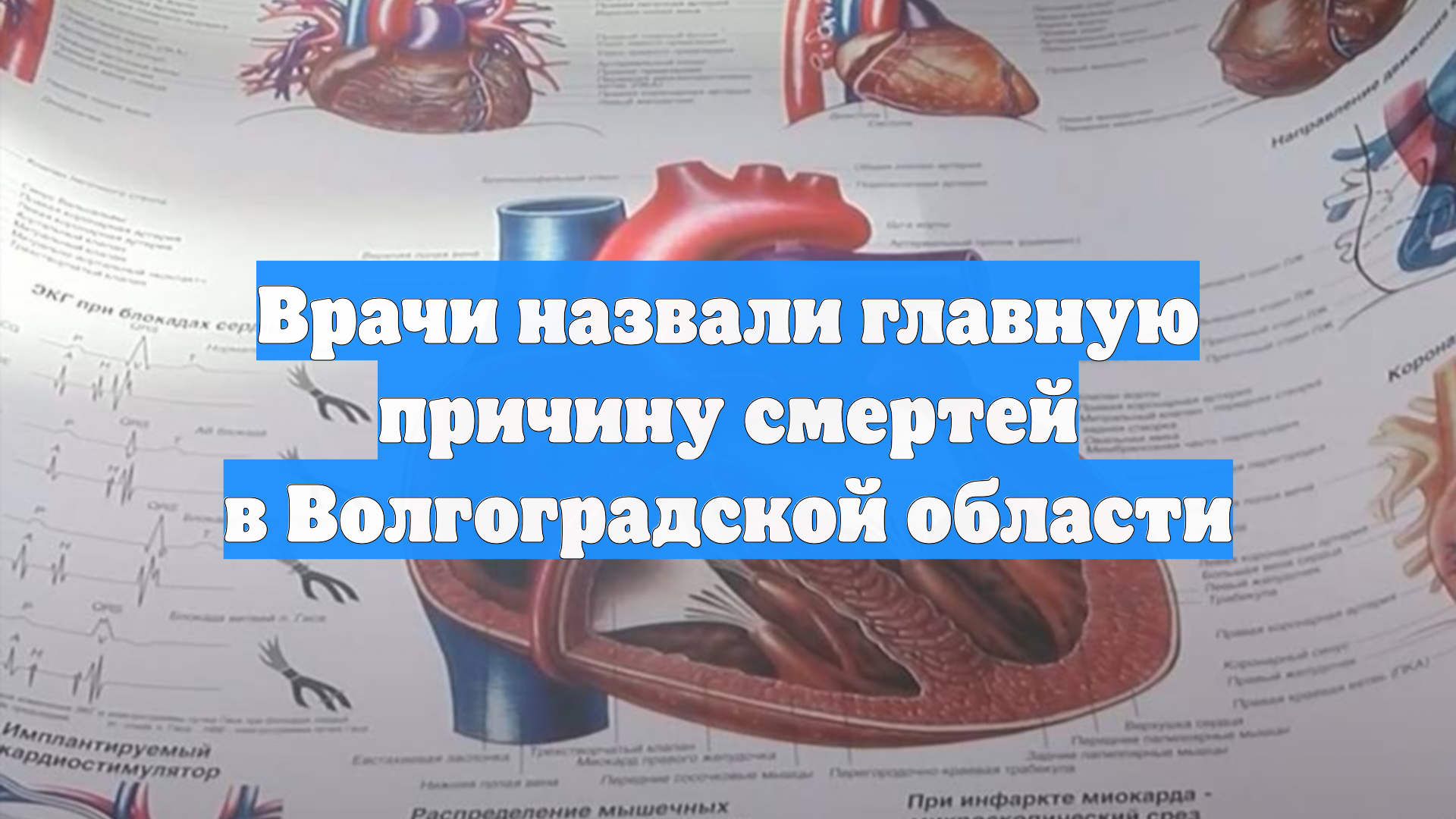 Врачи назвали главную причину смертей в Волгоградской области