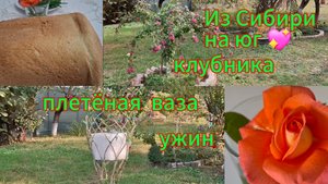 29-09-2025 Из Сибири на юг 💖/Купили дом на юге ☀️/Проводили гостей/Из дерева плетём вазу//Клубника/