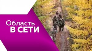 Область в сети №321 от 26.09.2025г.