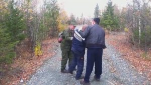 Ты не ешь грибы?!