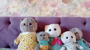 Первое видео с Басиками| Знакомство со съёмками| Рум тур с Мишей