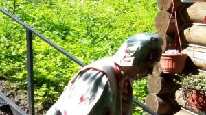 Голубея - росинка России  экскурс 1