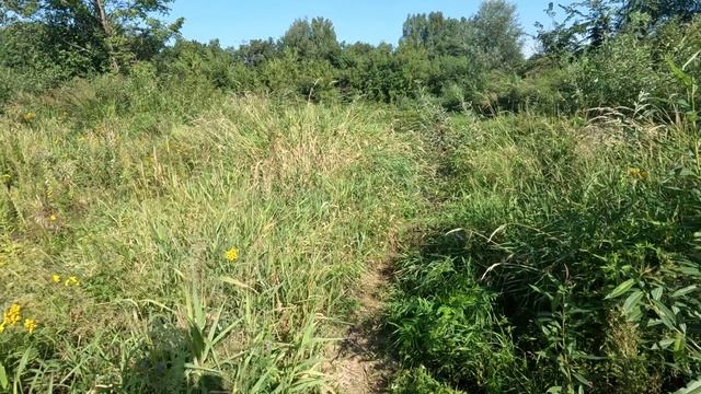 Люлех Теза Клязьма. Часть девятая.