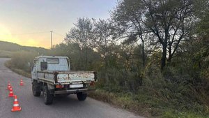 В Приморье девочка выпала из кузова автомобиля и погибла