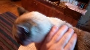 29 сентября 2025. Сентябрьские моменты.