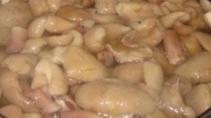 Маслята, жареные с луком