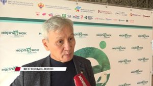 Какие фильмы признали лучшими на кинофестивале "Хрустальный нерпёнок"