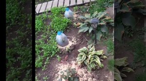 закончили сезон....