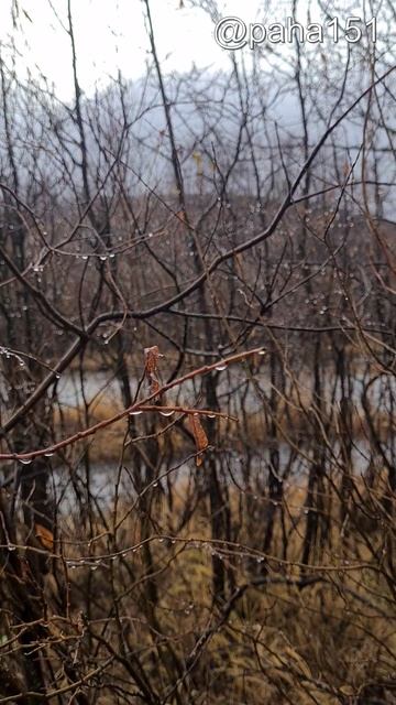 СЛЁЗЫ ОСЕНИ смотреть онлайн