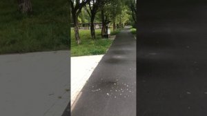 Парк генерала Алпаидзе ЗАТО Мирный Архангельской области