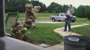 America′s Funniest Home Videos. Best Pranks of the Week 😂 Funniest Prank Videos