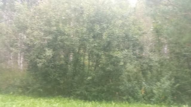 торги 50:04:0160201:611