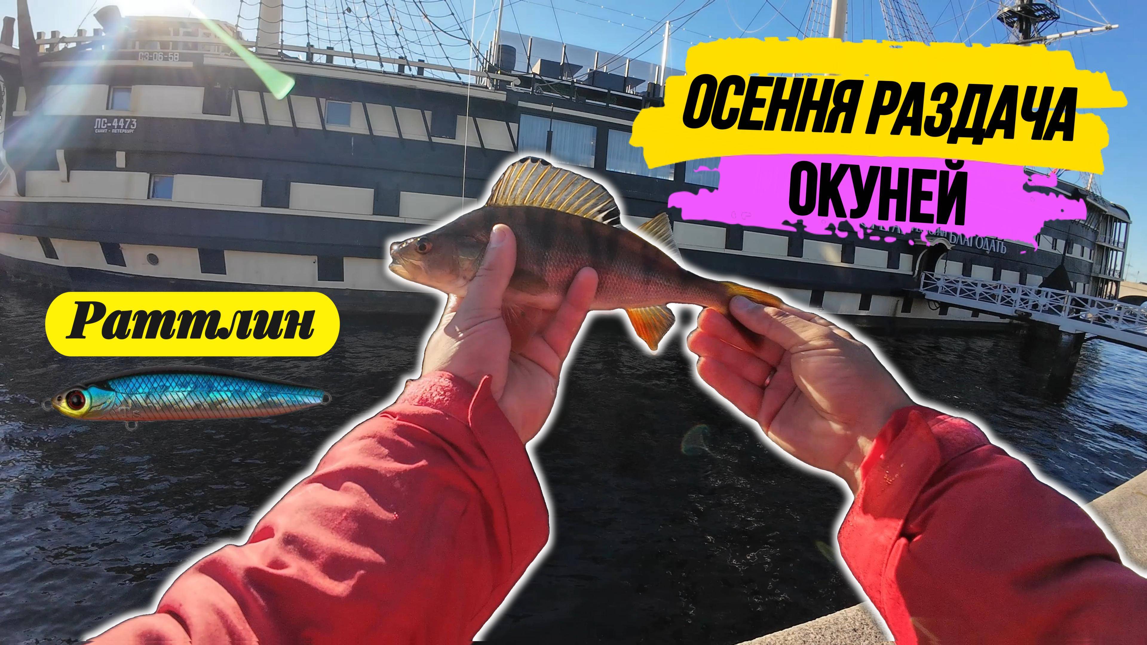 #strettfishing | Как ловить на стик? | Нашёл и напорол жирных окуней | смотреть онлайн