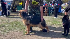 БЕБИ СУКИ / Кубок НКП РОСТОВ-НА-ДОНУ 28 сентября`25 Z.Najdovski, Е.Близнецова  Моно н/о