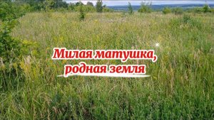 Милая матушка, родная земля