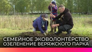 Новгородские семьи высадили деревья и кусты в Веряжском парке