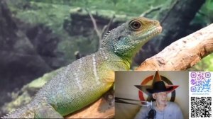 Топ манипулятивных вопросов от женщин - часть III