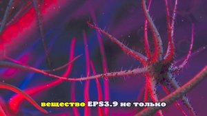 Морская бактерия убивает рак: в КНР нашли природное оружие против опухолей