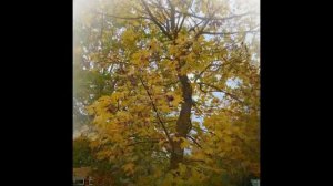 Уж небо осенью дышало..mp4