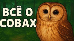 Развивающее видео про сов 🦉 Для детей