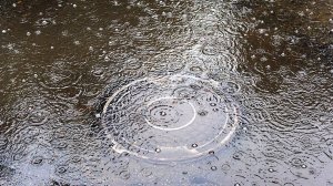 ФАКТЫ. Выпуск от 29.09.25