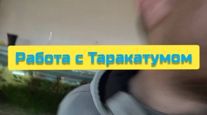 РАБОТА С ТАРАКАТУМОМ