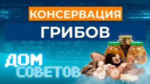 Консервация грибов (маринованные грибы)