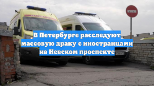 В Петербурге расследуют массовую драку с иностранцами на Невском проспекте