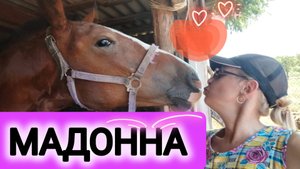 МАДОННА