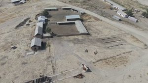 Жалол Ободда катта жиноий гуруҳ қўлга олинди