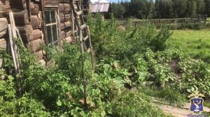 Задержанный на Алтае наркоделец пытался скрыться от полиции и избавиться от фляги с марихуаной