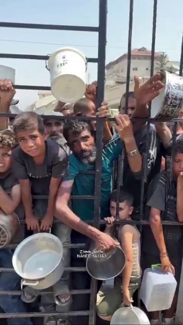 Газа.
Доклад ООН о голоде сфабрикован, говорит МИД Израиля. смотреть онлайн