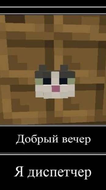 Ты затролен Но это майнкрафт мемы