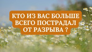 КТО ИЗ ВАС БОЛЬШЕ ВСЕГО ПОСТРАДАЛ ОТ РАЗРЫВА?