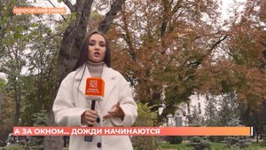 А за окном. 29 сентября 2025