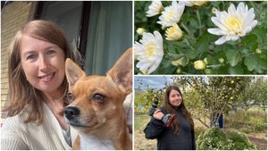 Конец сентября на Кубани. Срочное дело. Живем на юге в Краснодарском крае