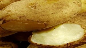 Картофельный салат с беконом