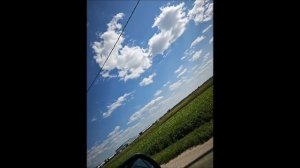 проект родной город 2 класс