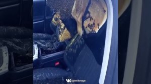 Видео от HackAvto – Лайфхаки и фишки для авто