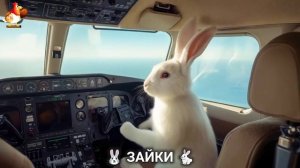 Зая и Зайчата 🐰🐇🐇 Веселые истории из жизни семейства зайчиков (89)