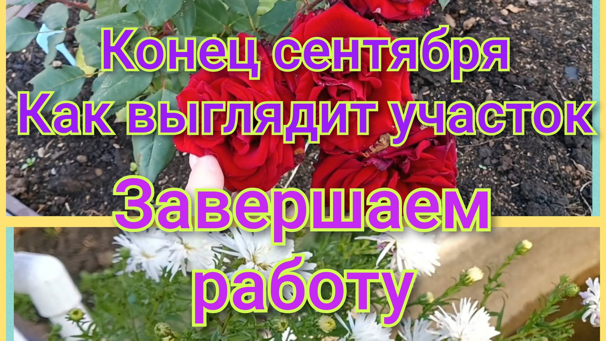 КОНЕЦ СЕНТЯБРЯ/КАК ВЫГЛЯДИТ УЧАСТОК/ЗАКАНЧИВАЕМ РАБОТЫ/ смотреть онлайн