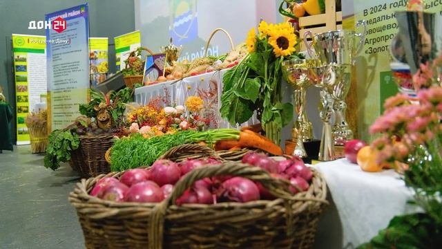 Достижения донских районов