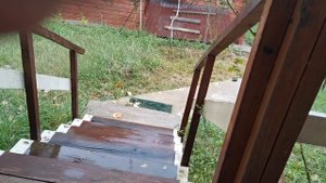 СОЧИ ГОРНОЕ ЛОО УТРО 29.09.2025