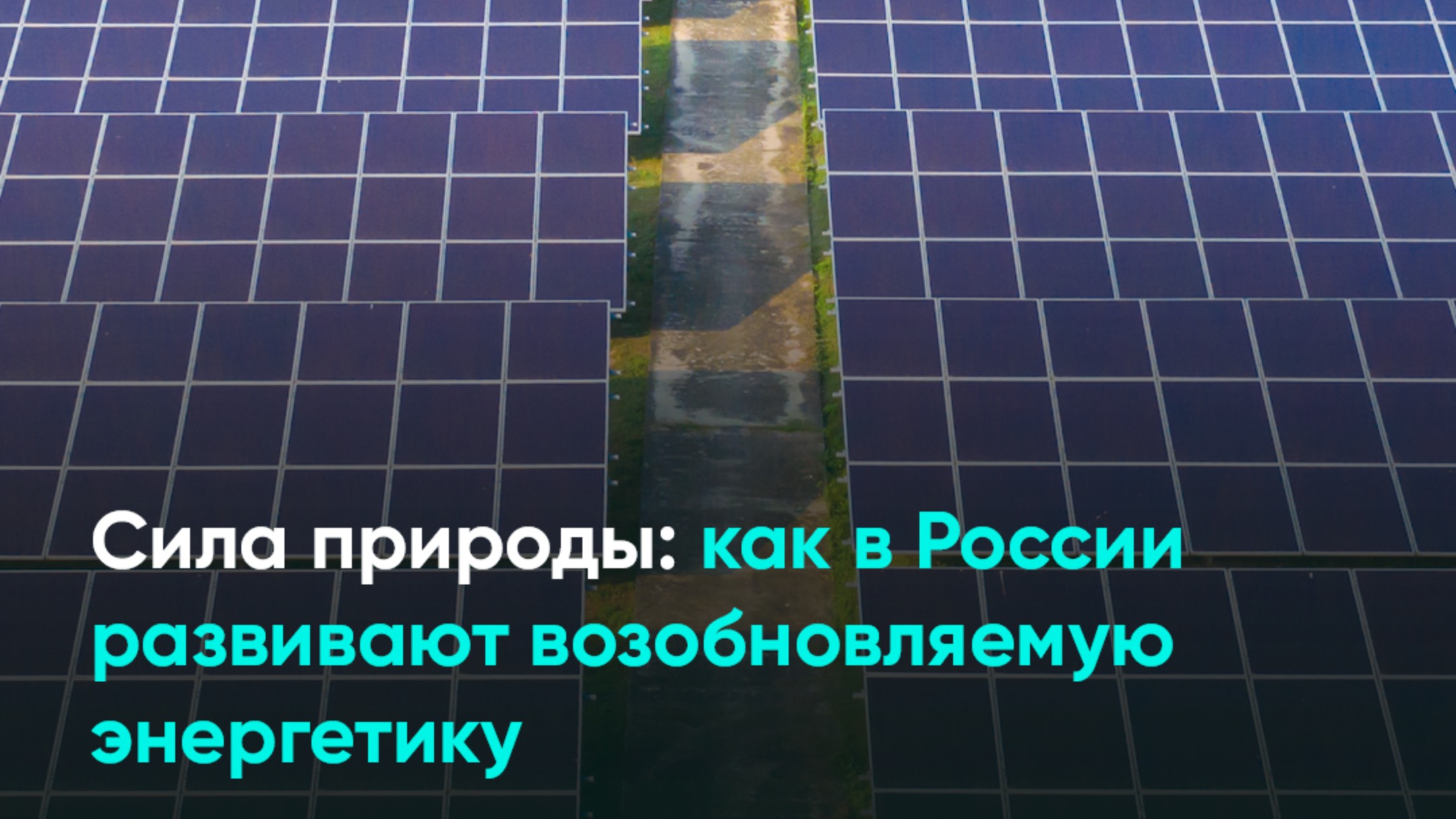 Сила природы: как в России развивают возобновляемую энергетику
